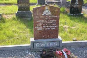 Owens Michael Arm